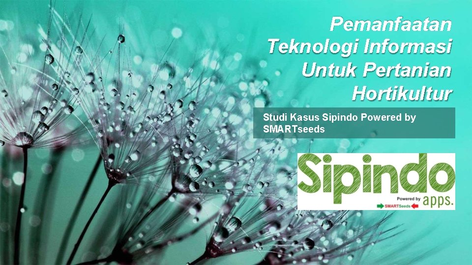 Pemanfaatan Teknologi Informasi Untuk Pertanian Hortikultur Studi Kasus Sipindo Powered by SMARTseeds 