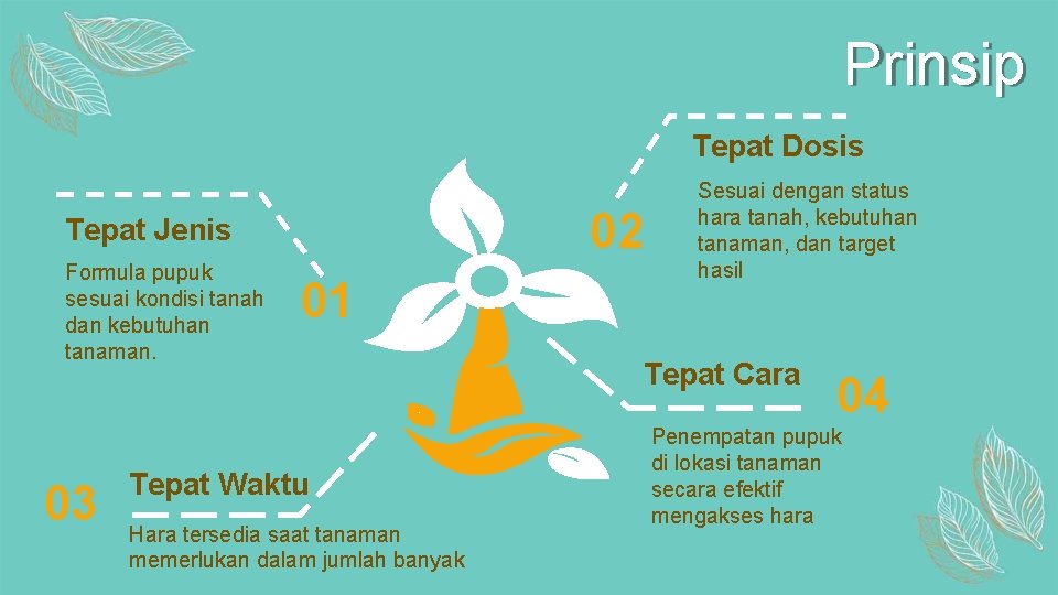 Prinsip Tepat Dosis 02 Tepat Jenis Formula pupuk sesuai kondisi tanah dan kebutuhan tanaman.