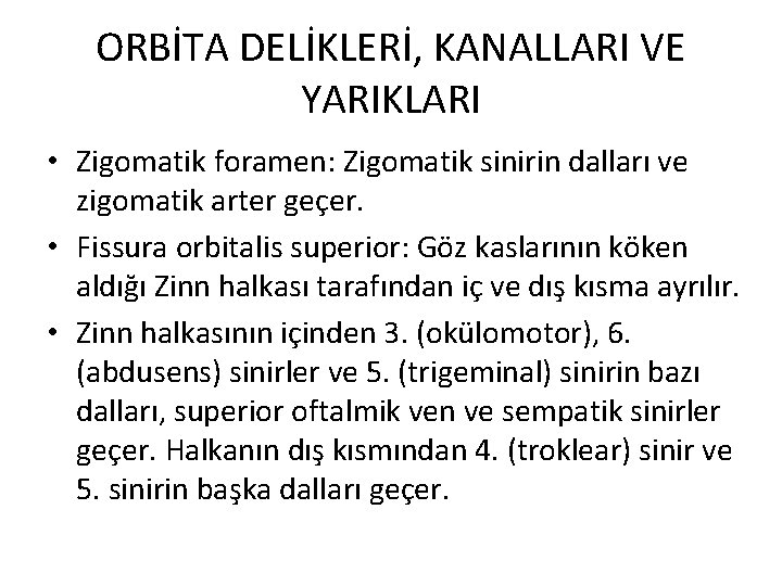 ORBİTA DELİKLERİ, KANALLARI VE YARIKLARI • Zigomatik foramen: Zigomatik sinirin dalları ve zigomatik arter