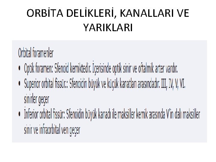 ORBİTA DELİKLERİ, KANALLARI VE YARIKLARI 