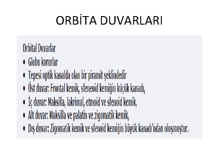 ORBİTA DUVARLARI 