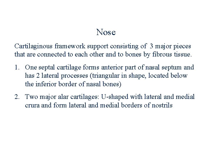 Nose Cartilaginous framework support consisting of 3 major pieces that are connected to each