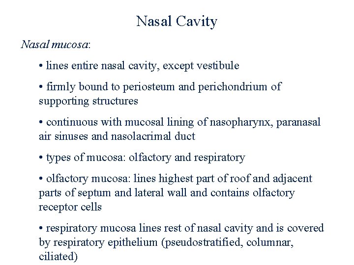 Nasal Cavity Nasal mucosa: • lines entire nasal cavity, except vestibule • firmly bound