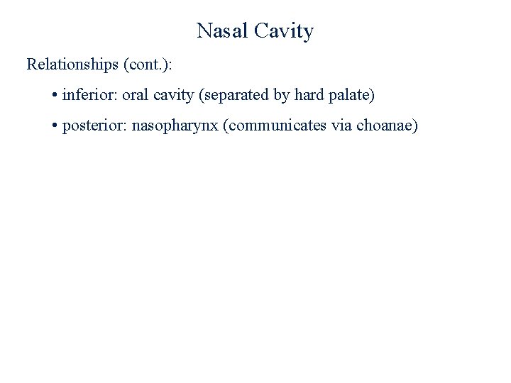 Nasal Cavity Relationships (cont. ): • inferior: oral cavity (separated by hard palate) •