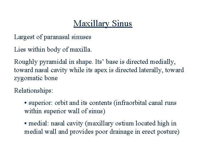 Maxillary Sinus Largest of paranasal sinuses Lies within body of maxilla. Roughly pyramidal in