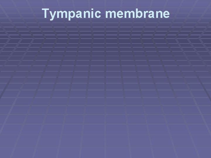 Tympanic membrane 