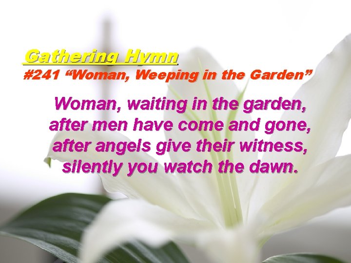 Gathering Hymn #241 “Woman, Weeping in the Garden” Woman, waiting in the garden, after