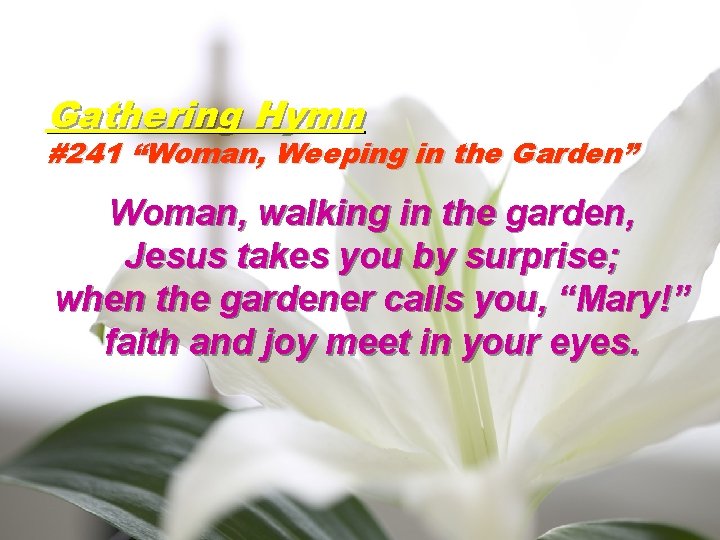 Gathering Hymn #241 “Woman, Weeping in the Garden” Woman, walking in the garden, Jesus