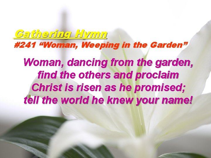Gathering Hymn #241 “Woman, Weeping in the Garden” Woman, dancing from the garden, find