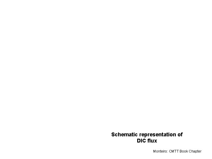 Schematic representation of DIC flux Monteiro: CMTT Book Chapter 
