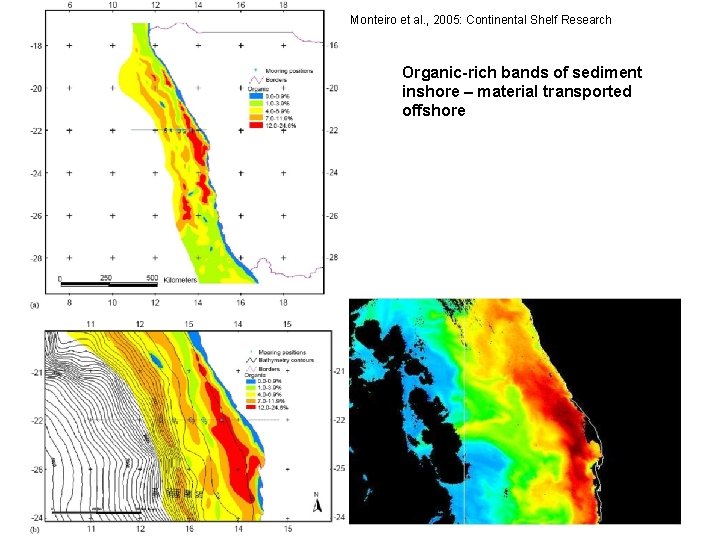 Monteiro et al. , 2005: Continental Shelf Research Organic-rich bands of sediment inshore –