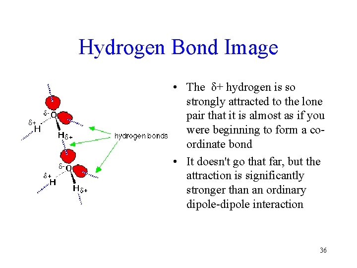 Hydrogen Bond Image • The δ+ hydrogen is so strongly attracted to the lone