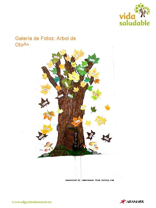 Galería de Fotos: Arbol de Otoño 