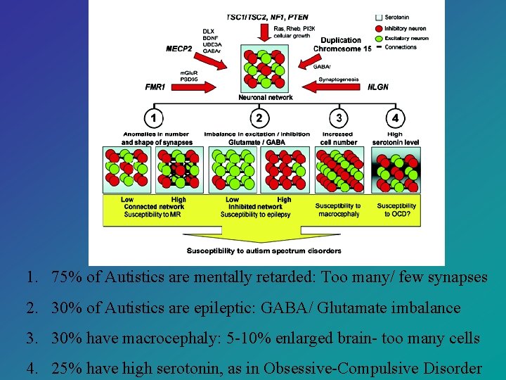 Autism and Fragile X Syndrome Genetic and Neurobiological