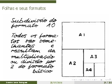 Folhas e seus formatos Evandro Junior Rodrigues 28/07/2016 29 / 250 