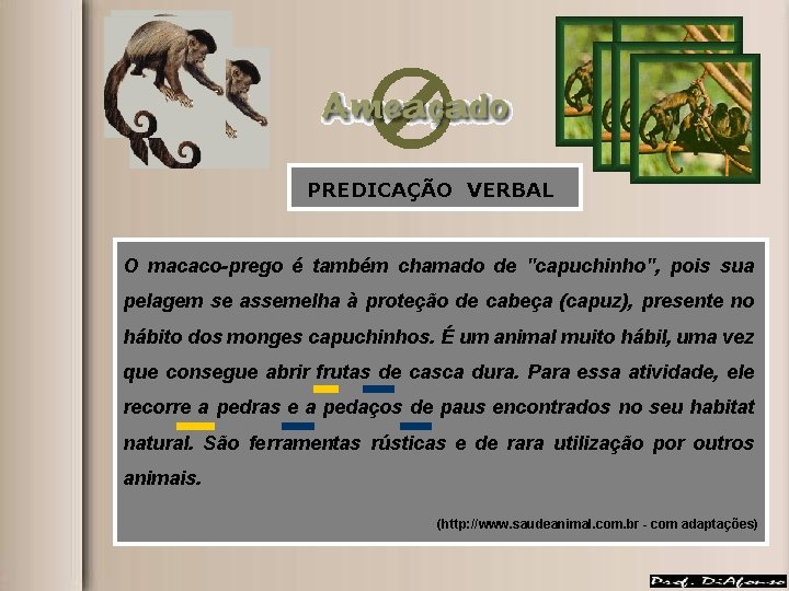 PREDICAÇÃO VERBAL O macaco-prego é também chamado de "capuchinho", pois sua pelagem se assemelha