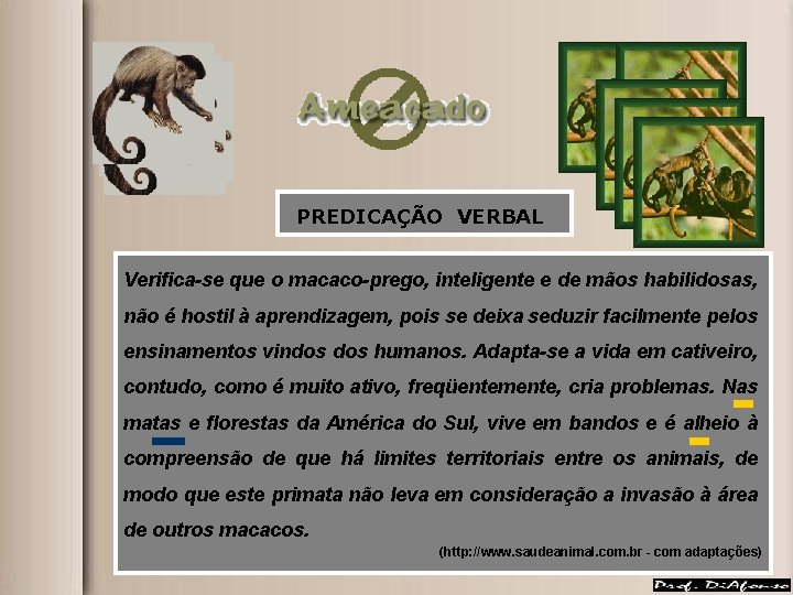 PREDICAÇÃO VERBAL Verifica-se que o macaco-prego, inteligente e de mãos habilidosas, não é hostil