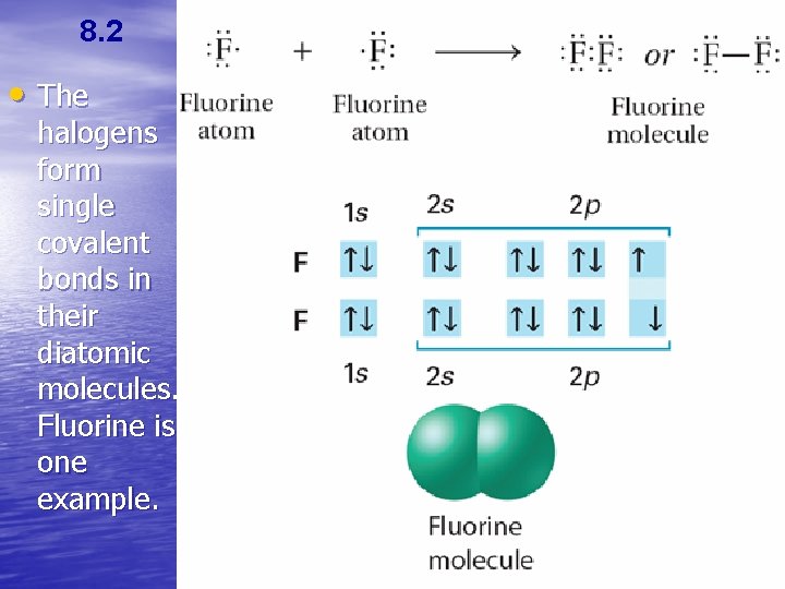 8. 2 • The halogens form single covalent bonds in their diatomic molecules. Fluorine