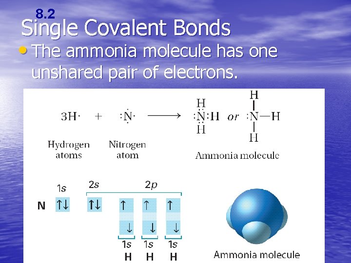 8. 2 Single Covalent Bonds • The ammonia molecule has one unshared pair of