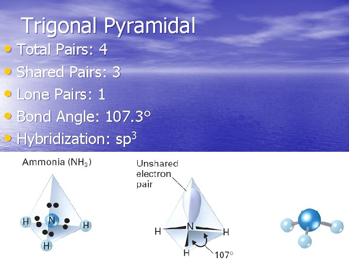 Trigonal Pyramidal • Total Pairs: 4 • Shared Pairs: 3 • Lone Pairs: 1