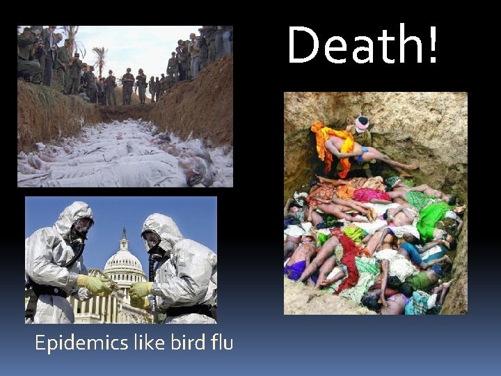 Death! Epidemics like bird flu 