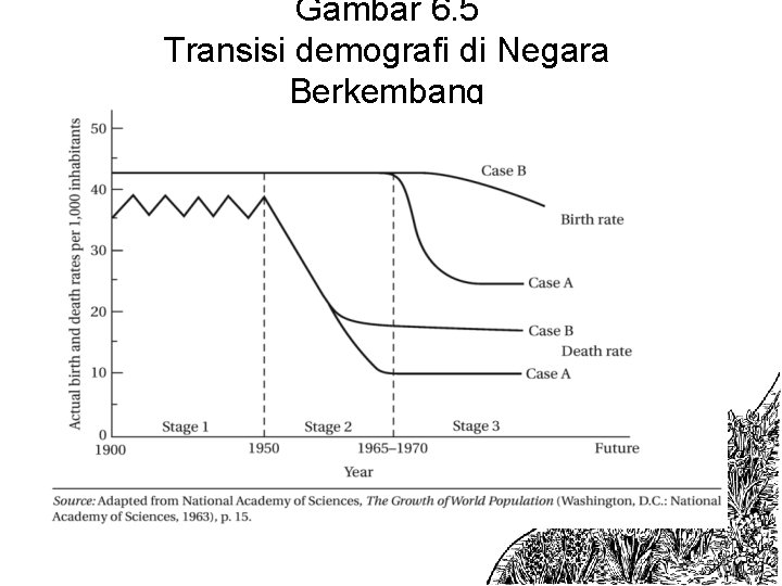 Gambar 6. 5 Transisi demografi di Negara Berkembang 