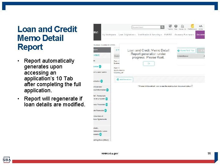 Loan and Credit Memo Detail Report • Report automatically generates upon accessing an application’s