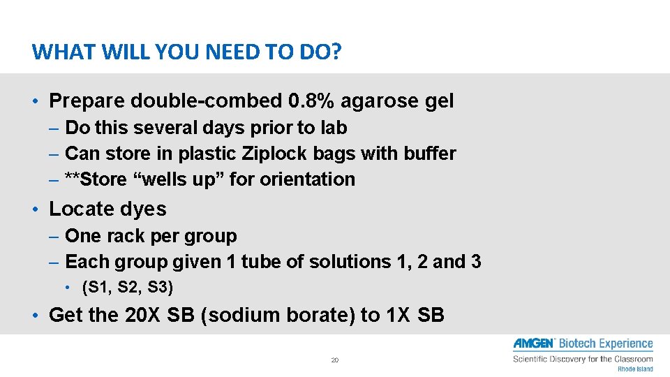 WHAT WILL YOU NEED TO DO? • Prepare double-combed 0. 8% agarose gel –