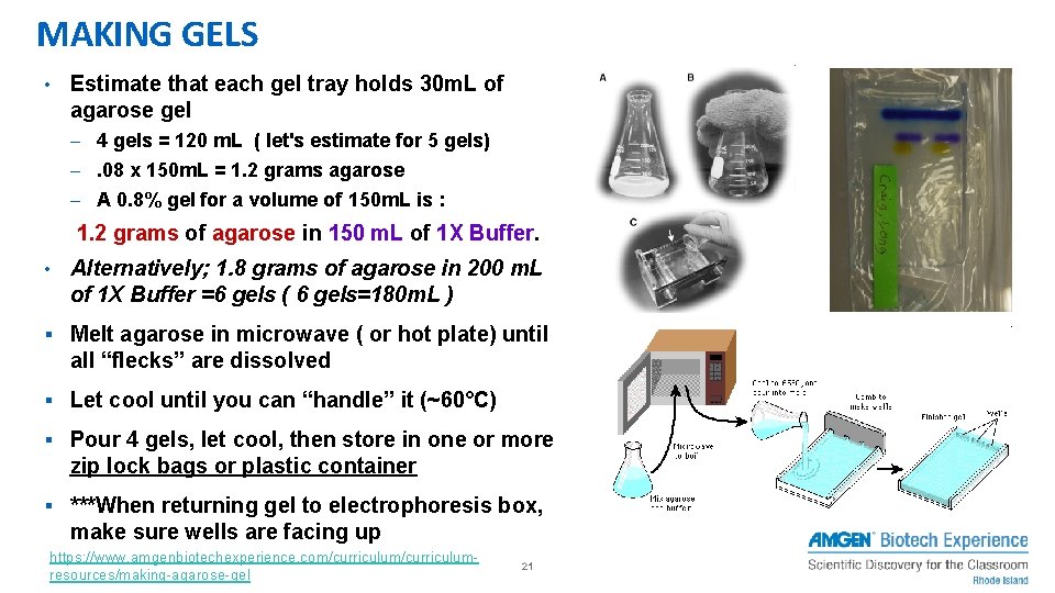 MAKING GELS • Estimate that each gel tray holds 30 m. L of agarose