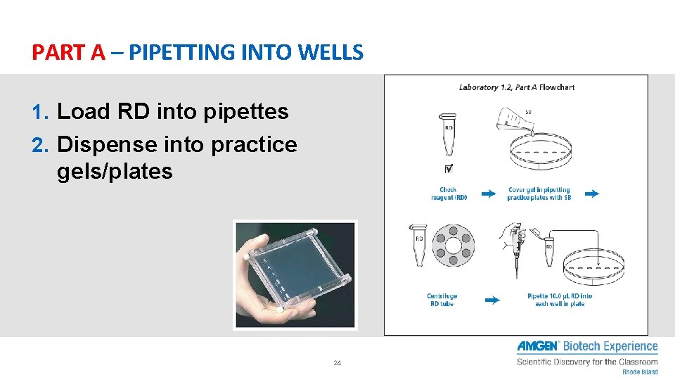 PART A – PIPETTING INTO WELLS 1. Load RD into pipettes 2. Dispense into PART A – PIPETTING INTO WELLS 1. Load RD into pipettes 2. Dispense into