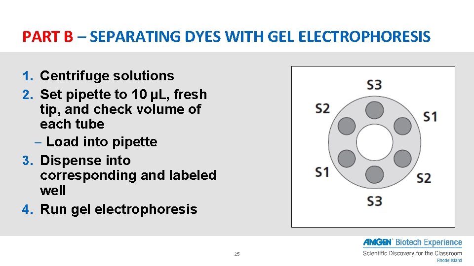 PART B – SEPARATING DYES WITH GEL ELECTROPHORESIS 1. Centrifuge solutions 2. Set pipette