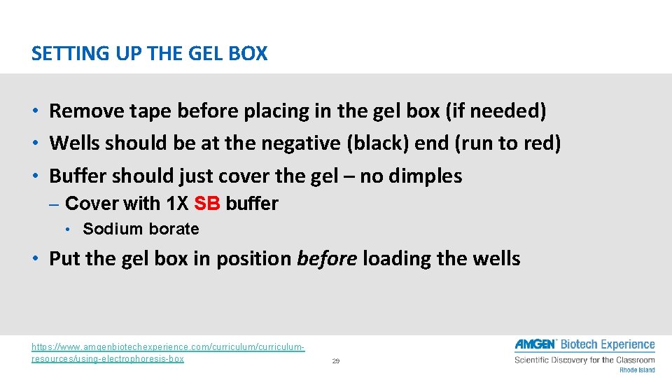 SETTING UP THE GEL BOX • Remove tape before placing in the gel box