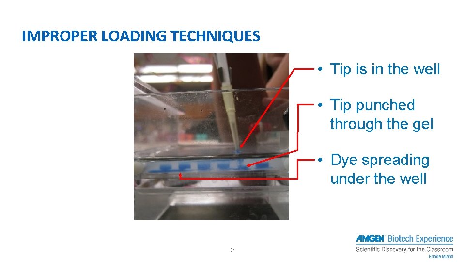 IMPROPER LOADING TECHNIQUES • Tip is in the well • Tip punched through the IMPROPER LOADING TECHNIQUES • Tip is in the well • Tip punched through the