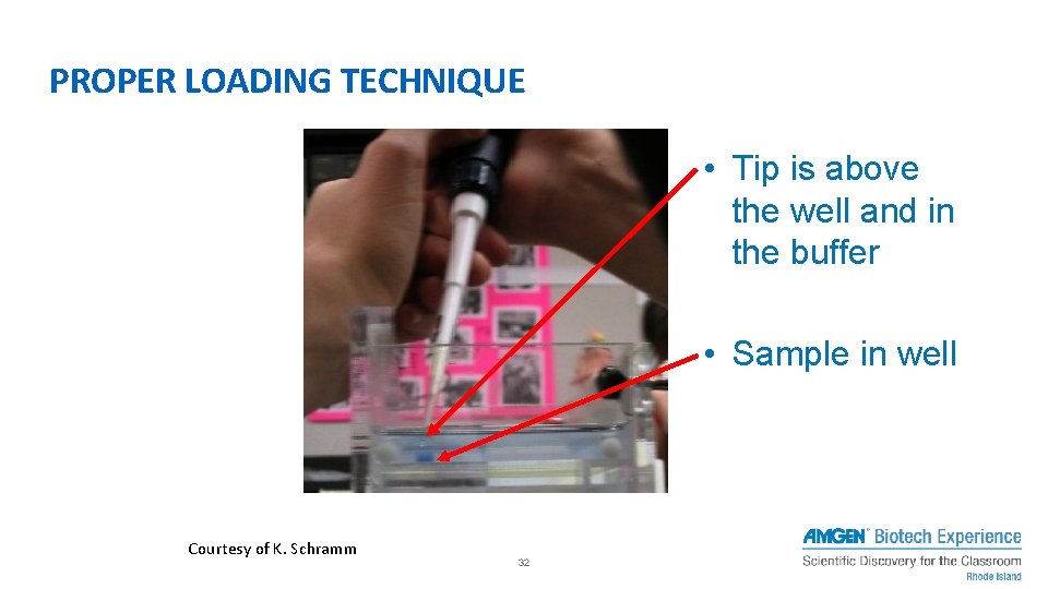 PROPER LOADING TECHNIQUE • Tip is above the well and in the buffer • PROPER LOADING TECHNIQUE • Tip is above the well and in the buffer •