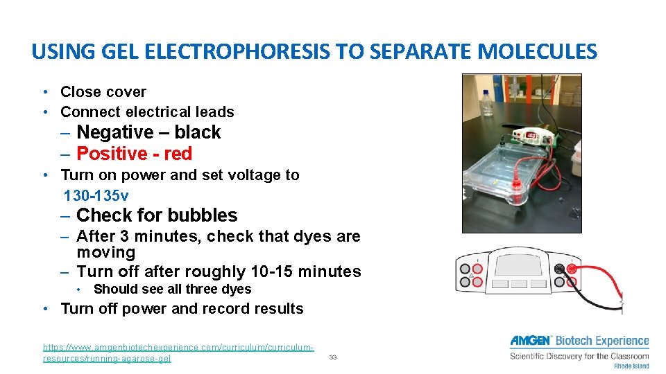 USING GEL ELECTROPHORESIS TO SEPARATE MOLECULES • Close cover • Connect electrical leads –