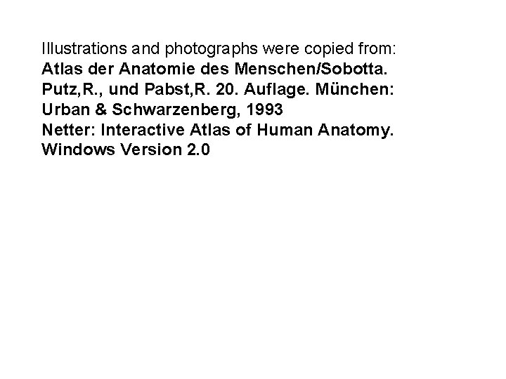 Illustrations and photographs were copied from: Atlas der Anatomie des Menschen/Sobotta. Putz, R. ,