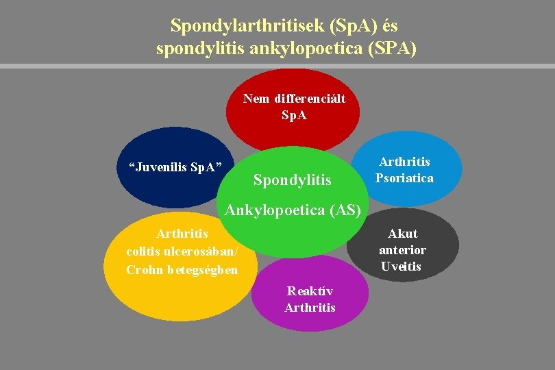 Spondylarthritisek (Sp. A) és spondylitis ankylopoetica (SPA) Nem differenciált Sp. A “Juvenilis Sp. A”