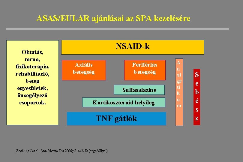 ASAS/EULAR ajánlásai az SPA kezelésére Oktatás, torna, fizikoterápia, rehabilitáció, beteg egyesületek, önsegélyező csoportok. NSAID-k