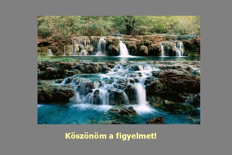 Köszönöm a figyelmet! 