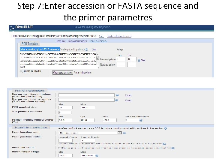 Step 7: Enter accession or FASTA sequence and the primer parametres 