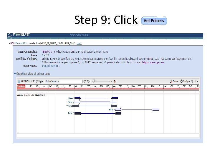 Step 9: Click 