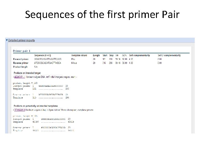 Sequences of the first primer Pair 