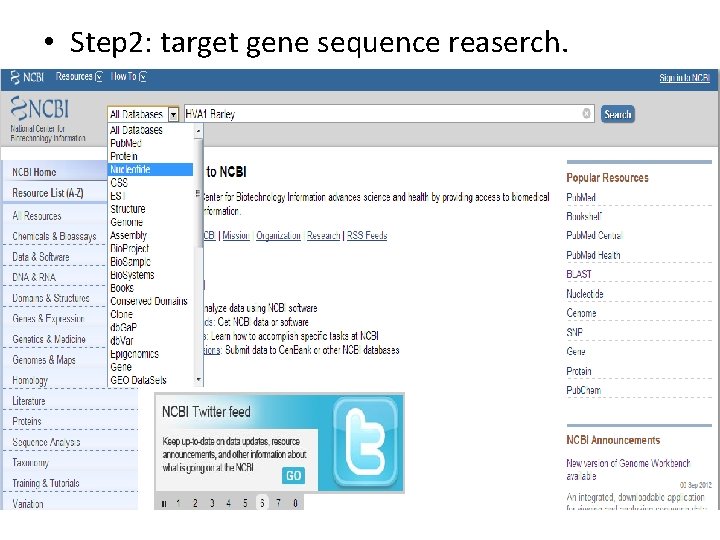  • Step 2: target gene sequence reaserch. 