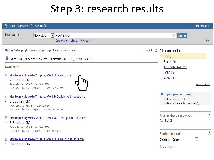 Step 3: research results 