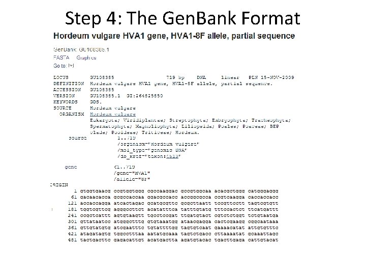 Step 4: The Gen. Bank Format 