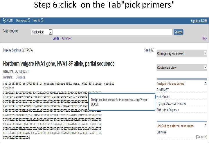 Step 6: click on the Tab"pick primers" 