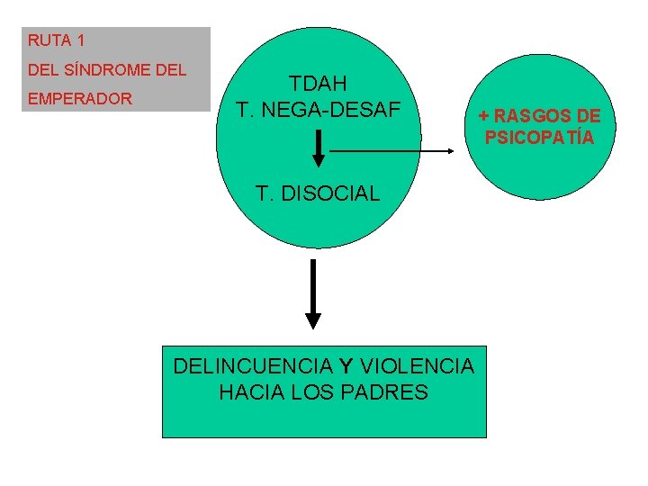 RUTA 1 DEL SÍNDROME DEL EMPERADOR TDAH T. NEGA-DESAF T. DISOCIAL DELINCUENCIA Y VIOLENCIA