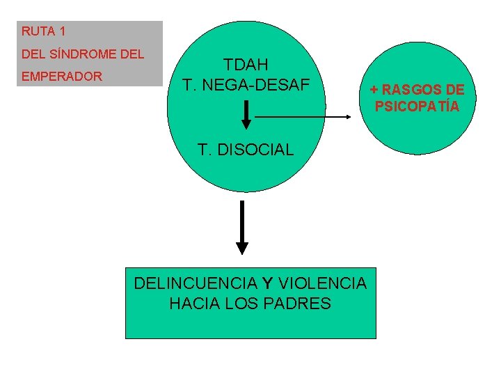 RUTA 1 DEL SÍNDROME DEL EMPERADOR TDAH T. NEGA-DESAF T. DISOCIAL DELINCUENCIA Y VIOLENCIA RUTA 1 DEL SÍNDROME DEL EMPERADOR TDAH T. NEGA-DESAF T. DISOCIAL DELINCUENCIA Y VIOLENCIA