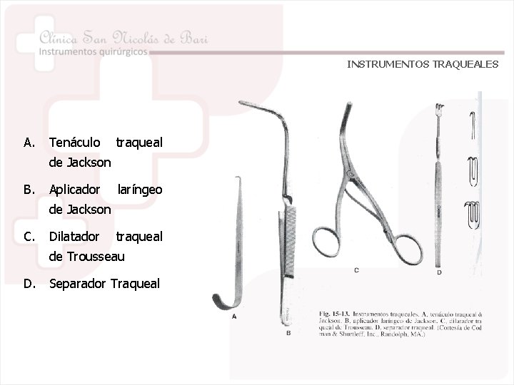 INSTRUMENTOS TRAQUEALES A. Tenáculo traqueal de Jackson B. Aplicador laríngeo de Jackson C. Dilatador