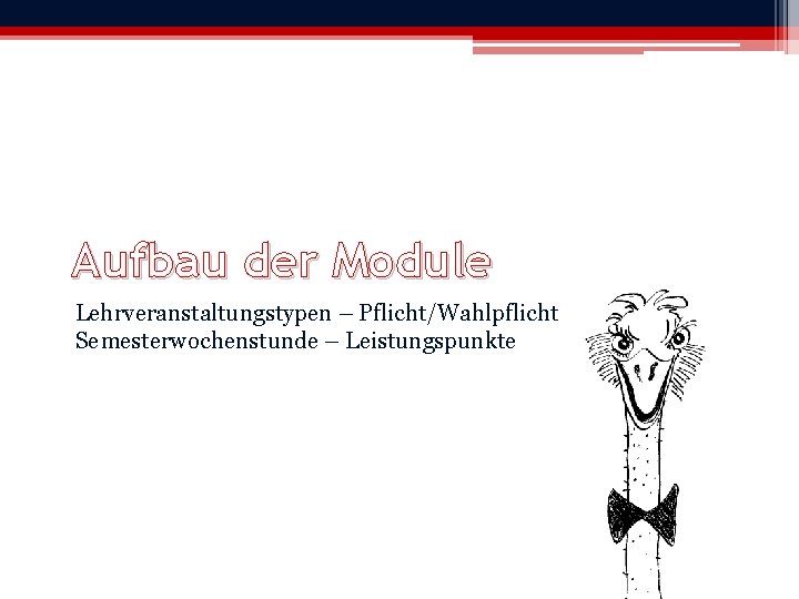 Aufbau der Module Lehrveranstaltungstypen – Pflicht/Wahlpflicht – Semesterwochenstunde – Leistungspunkte 